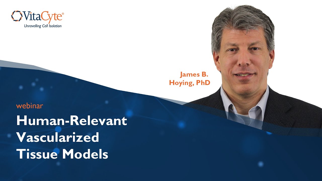 Webinar: Human-Relevant Vascularized Tissue Models