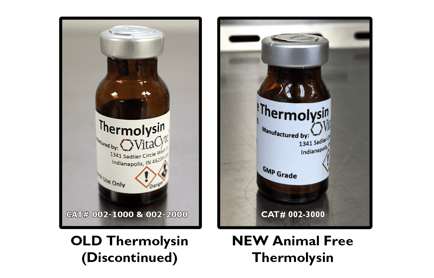 Thermolysin blog photo Thermolysin: Important Considerations