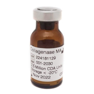 Collagenase MA