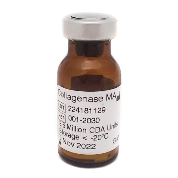 Collagenase MA