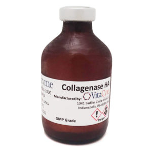 Collagenase HA