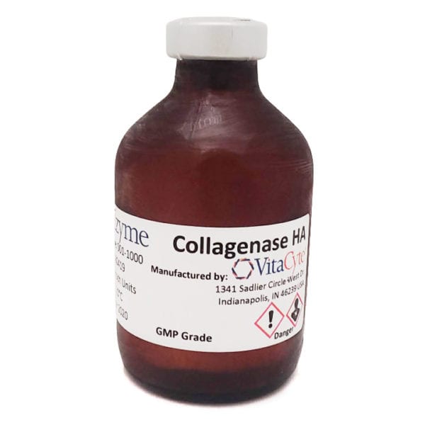 Collagenase HA