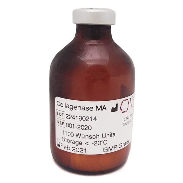 Collagenase MA