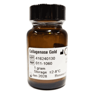 Collagenase Gold
