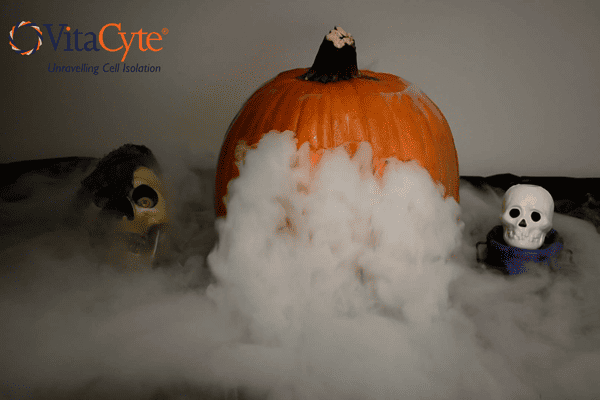 How to Make a Smoking Pumpkin
