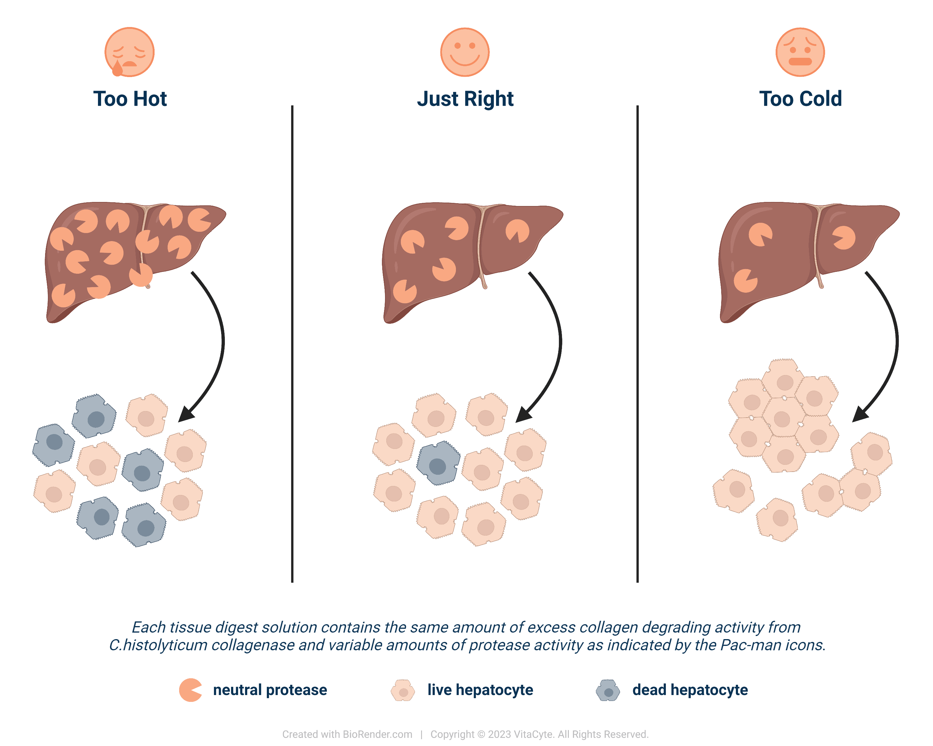 Goldilocks Cell Isolation Goldilocks Zone: Hospitable Conditions for Cell Isolation