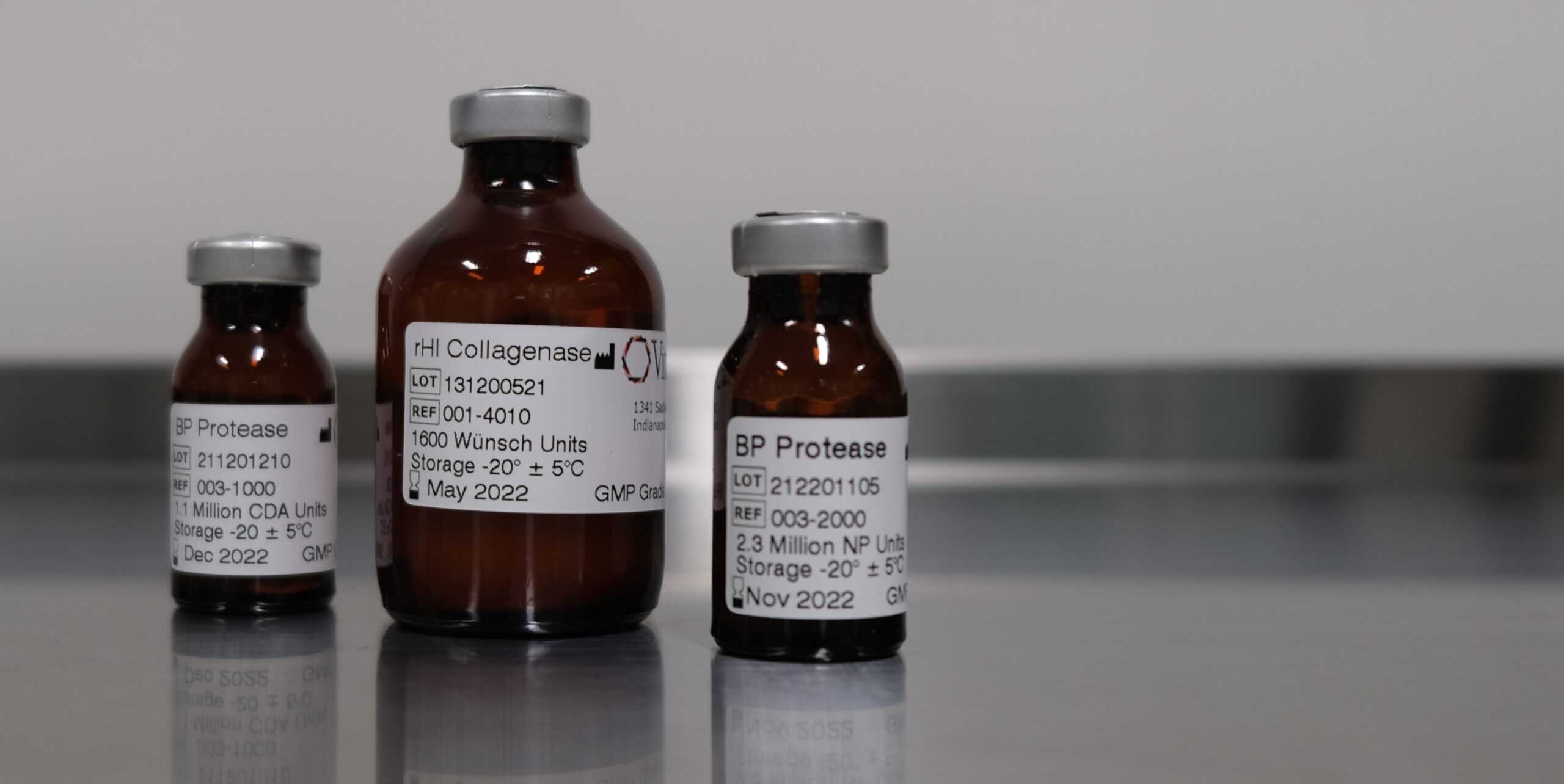 BP & rHI GMP Grade BP Protease, a Dispase™ Equivalent Enzyme: Facts and Fiction