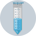 Step 7 icon of rodent hepatocyte isolation protocol