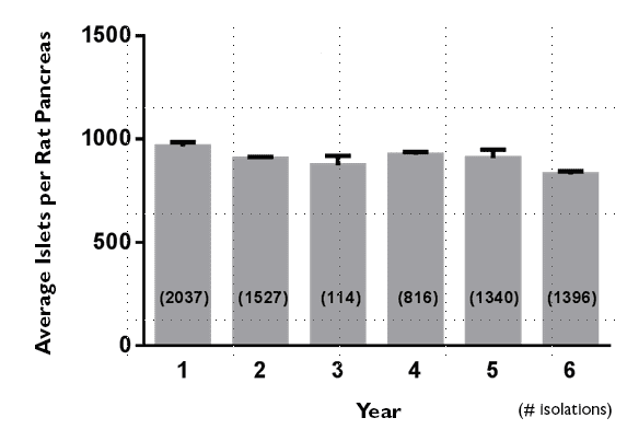 rodent islet graph Graph of average islets per pancreas over each year