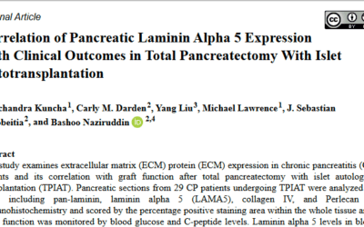 Commentary: One Approach to Increasing Islet Yields from Chronic Pancreatitis Patients
