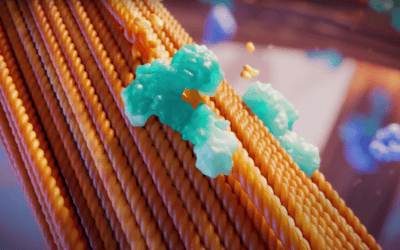 Cell Recovery Using Clostridium histolyticum Enzyme Products