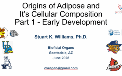Short Videos on the Origin of Cells in Adipose Tissue