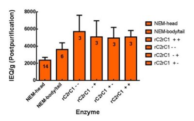 What is the Optimal Enzyme Dose for Human Islet Isolation?
